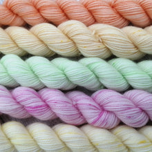 Load image into Gallery viewer, Biosock Merino and Biodegradable Nylon 20g mini skein set in Sorbet colours