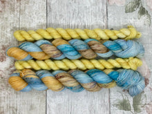 Load image into Gallery viewer, Grynbad Club - Popsicle Pirates