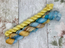 Load image into Gallery viewer, Grynbad Club - Popsicle Pirates