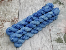 Load image into Gallery viewer, Blue Mix and Match Minis