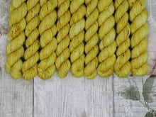 Load image into Gallery viewer, Gold Mix and Match Minis