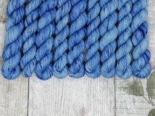 Load image into Gallery viewer, Blue Mix and Match Minis