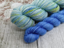 Load image into Gallery viewer, Deluxe Merino Nylon 4ply 50g in Seascape colourway with a coordinating mini