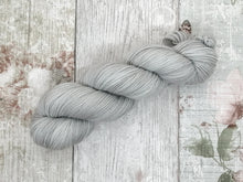 Load image into Gallery viewer, Deluxe Merino Nylon 4ply 100g in Silver Lining colourway