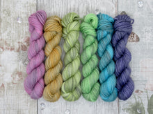 Load image into Gallery viewer, Silver Sparkle mini skein set in Autumn Rainbow colours
