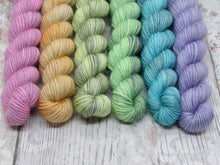 Load image into Gallery viewer, Deluxe Merino Nylon mini skein set in Autumn Rainbow colours