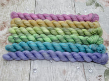Load image into Gallery viewer, Silver Sparkle mini skein set in Autumn Rainbow colours