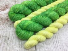 Load image into Gallery viewer, Grynbad Club - The Great Green Gribble