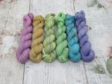 Load image into Gallery viewer, Silver Sparkle mini skein set in Autumn Rainbow colours