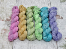 Load image into Gallery viewer, Deluxe Merino Nylon mini skein set in Autumn Rainbow colours