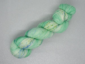 Biosock Merino and Biodegradable Nylon Yarn 100g skein in Mistletoe Kisses Colourway