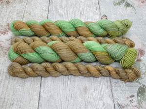 Deluxe Merino Nylon 4ply 50g in Kicking Leaves colourway with a matching mini skein