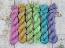 Load image into Gallery viewer, Deluxe Merino Nylon mini skein set in Autumn Rainbow colours
