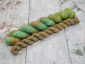 Silver Sparkle 4ply 50g in Kicking Leaves colourway with a matching mini skein