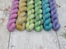 Load image into Gallery viewer, Silver Sparkle mini skein set in Autumn Rainbow colours