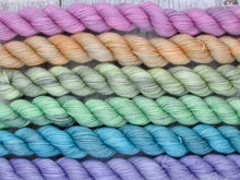 Load image into Gallery viewer, Deluxe Merino Nylon mini skein set in Autumn Rainbow colours
