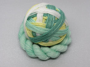 Deluxe Silver Sparkle Self Striping Yarn in the Christmas Rose colourway with a coordinating mini skein