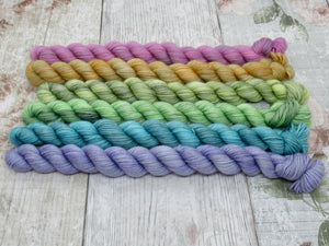 Deluxe Merino Nylon mini skein set in Autumn Rainbow colours